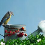 Uccelli che ritornano a un giardino decorato con abbigliamento colorato e accessori naturali.