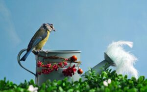 Uccelli che ritornano a un giardino decorato con abbigliamento colorato e accessori naturali.
